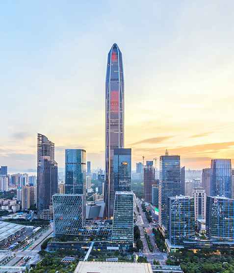 大连窦鑫线上心理健康服务有限公司